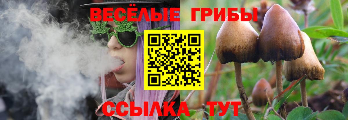 наркота  Вход с VPN  Обь  Псилоцибиновые грибы мухоморы 
